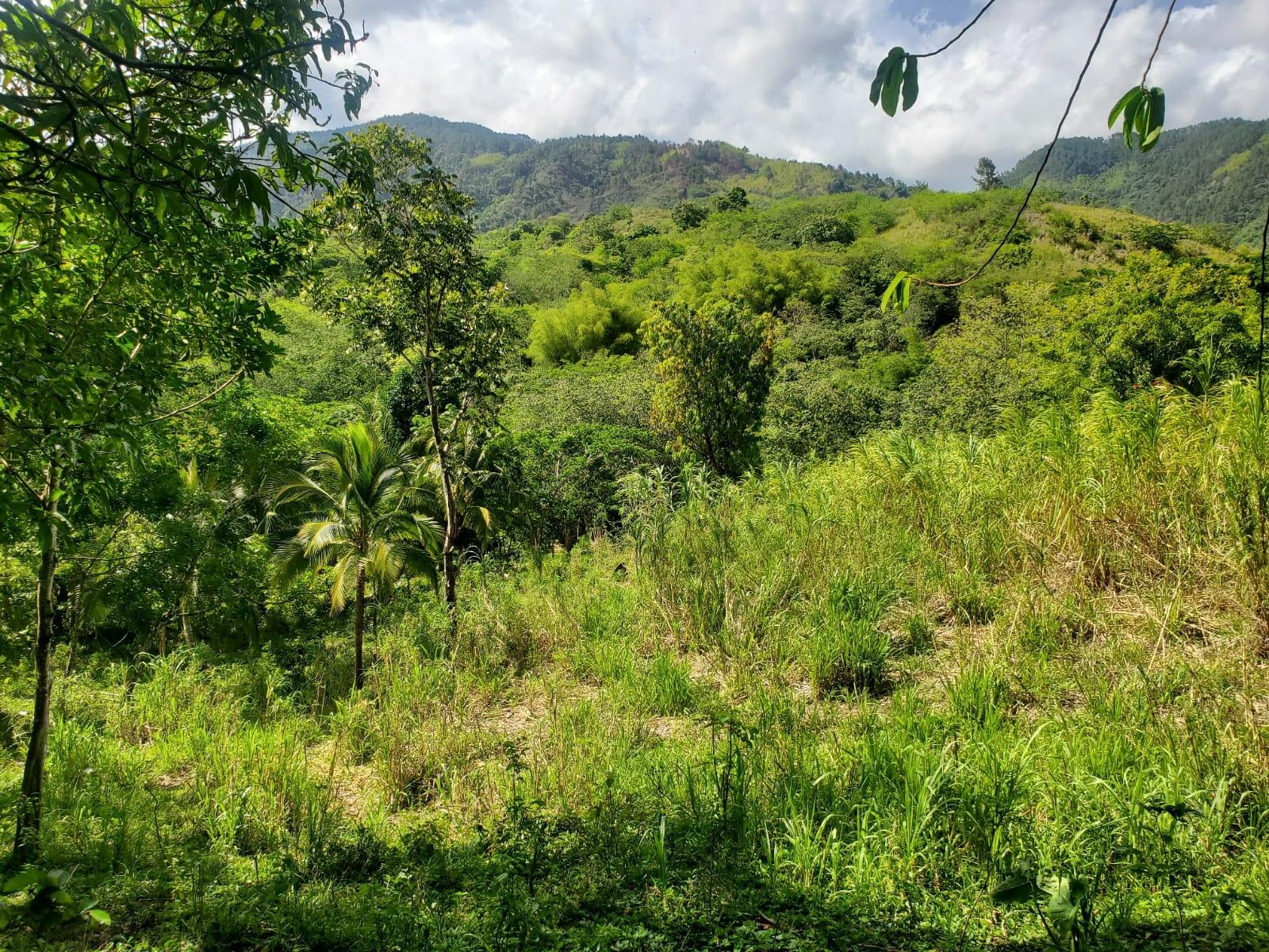 Stunning-6.5-Acre-Residential-Lot-for-Sale-in-St.-Thomas-Jamaica Ninth image of 94 Spring Pen in Seaforth, St. Thomas, Jamaica - property is For Sale