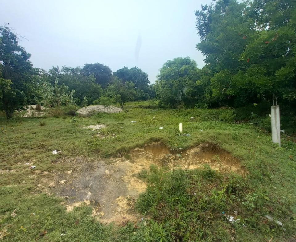 Fifth image of Lot 240 Culloden, Whitehouse in WHITEHOUSE, Westmoreland, Jamaica - property is For Sale
