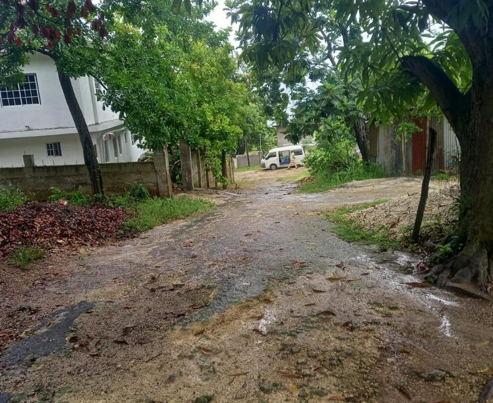 Seventh image of Lot 240 Culloden, Whitehouse in WHITEHOUSE, Westmoreland, Jamaica - property is For Sale