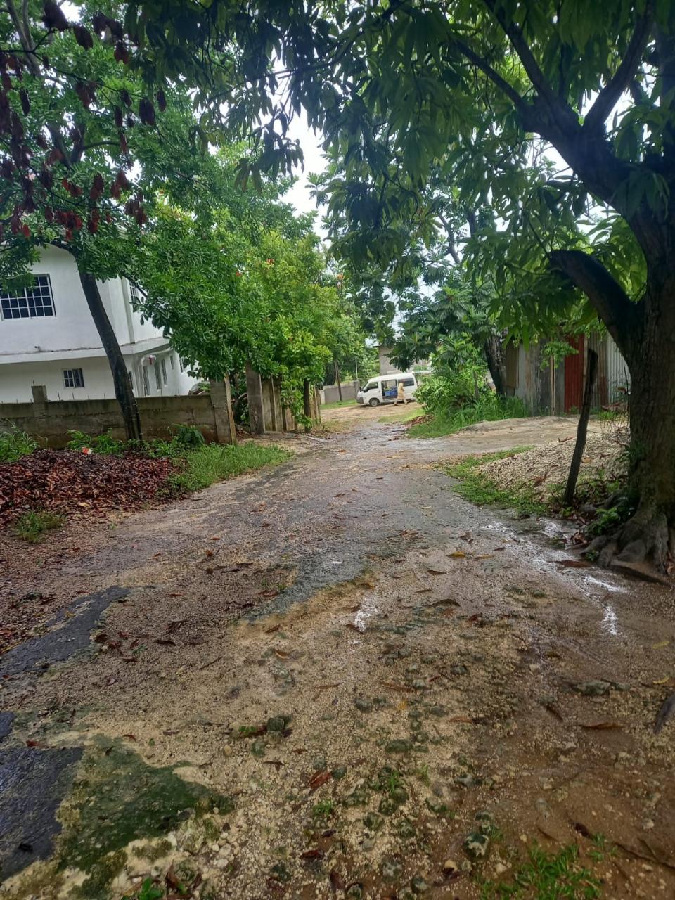 Stunning-6039.69-sq-ft-Residential-Lot-for-Sale-in-Whitehouse-Jamaica Seventh image of Lot 240 Culloden, Whitehouse in WHITEHOUSE, Westmoreland, Jamaica - property is For Sale