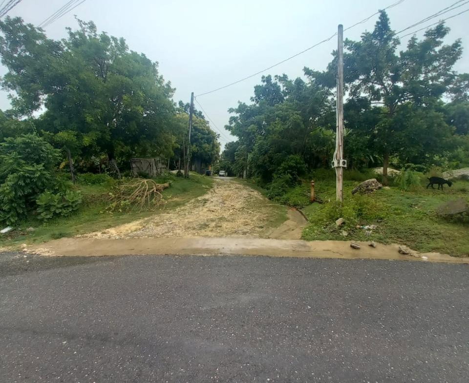 Ninth image of Lot 240 Culloden, Whitehouse in WHITEHOUSE, Westmoreland, Jamaica - property is For Sale