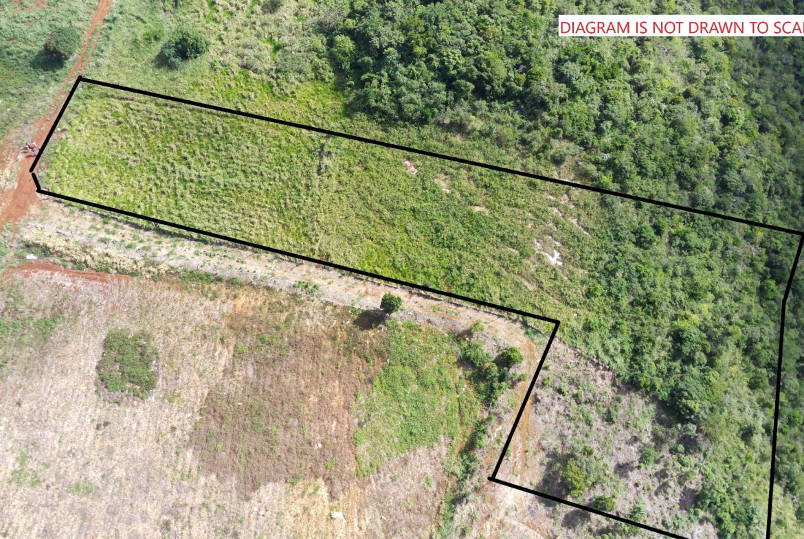 Fifth image of Norfolk, Southfield in Southfield, St. Elizabeth, Jamaica - property is For Sale