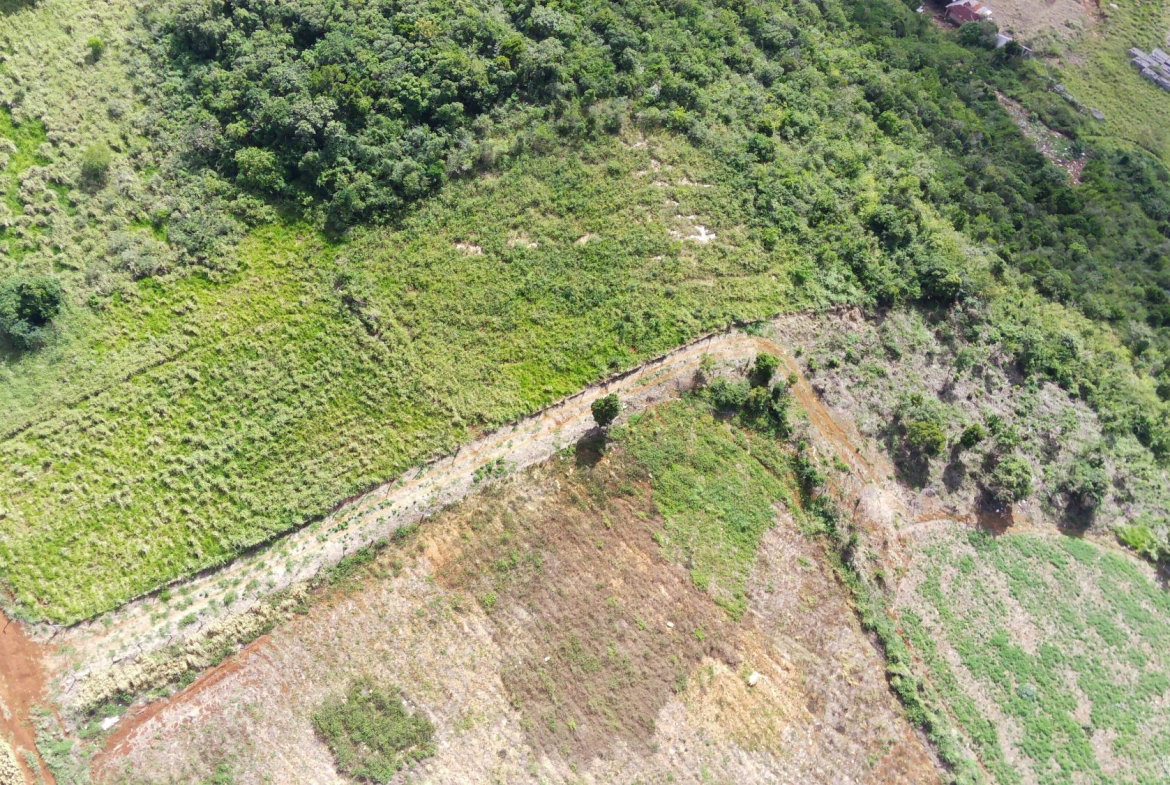 Sixth image of Norfolk, Southfield in Southfield, St. Elizabeth, Jamaica - property is For Sale