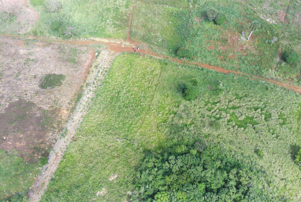 Eighth image of Norfolk, Southfield in Southfield, St. Elizabeth, Jamaica - property is For Sale