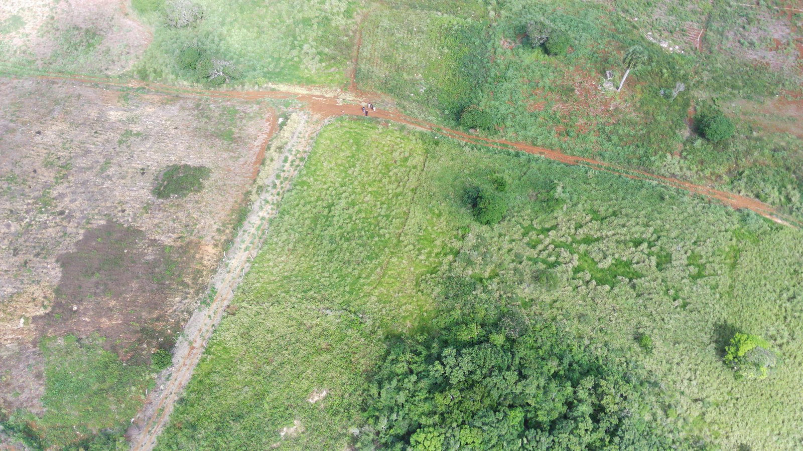 Eighth image of Norfolk, Southfield in Southfield, St. Elizabeth, Jamaica - property is For Sale