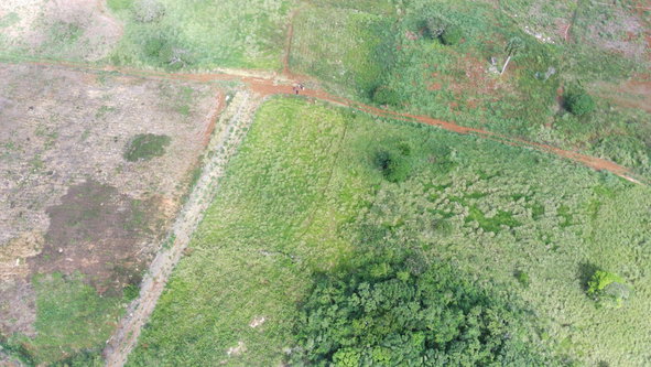 Eighth image of Norfolk, Southfield in Southfield, St. Elizabeth, Jamaica - property is For Sale