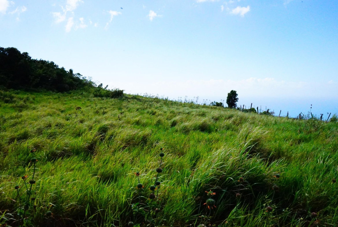 Ninth image of Norfolk, Southfield in Southfield, St. Elizabeth, Jamaica - property is For Sale