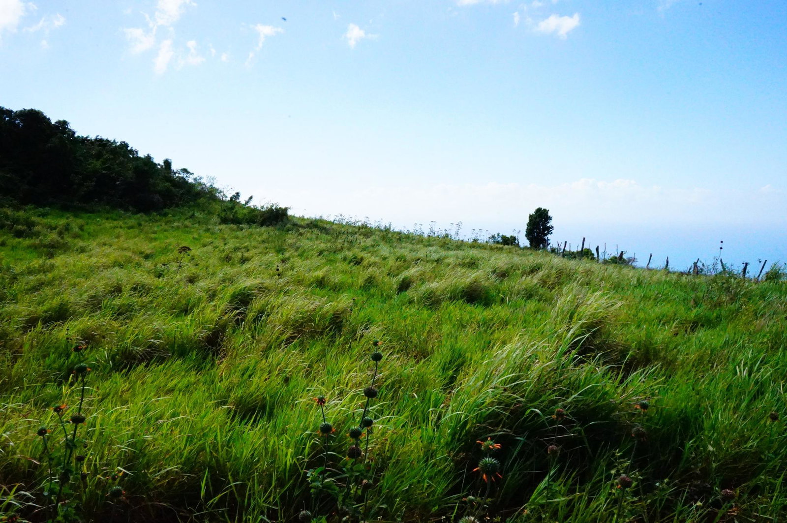 Ninth image of Norfolk, Southfield in Southfield, St. Elizabeth, Jamaica - property is For Sale