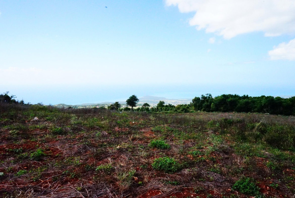 Tenth image of Norfolk, Southfield in Southfield, St. Elizabeth, Jamaica - property is For Sale