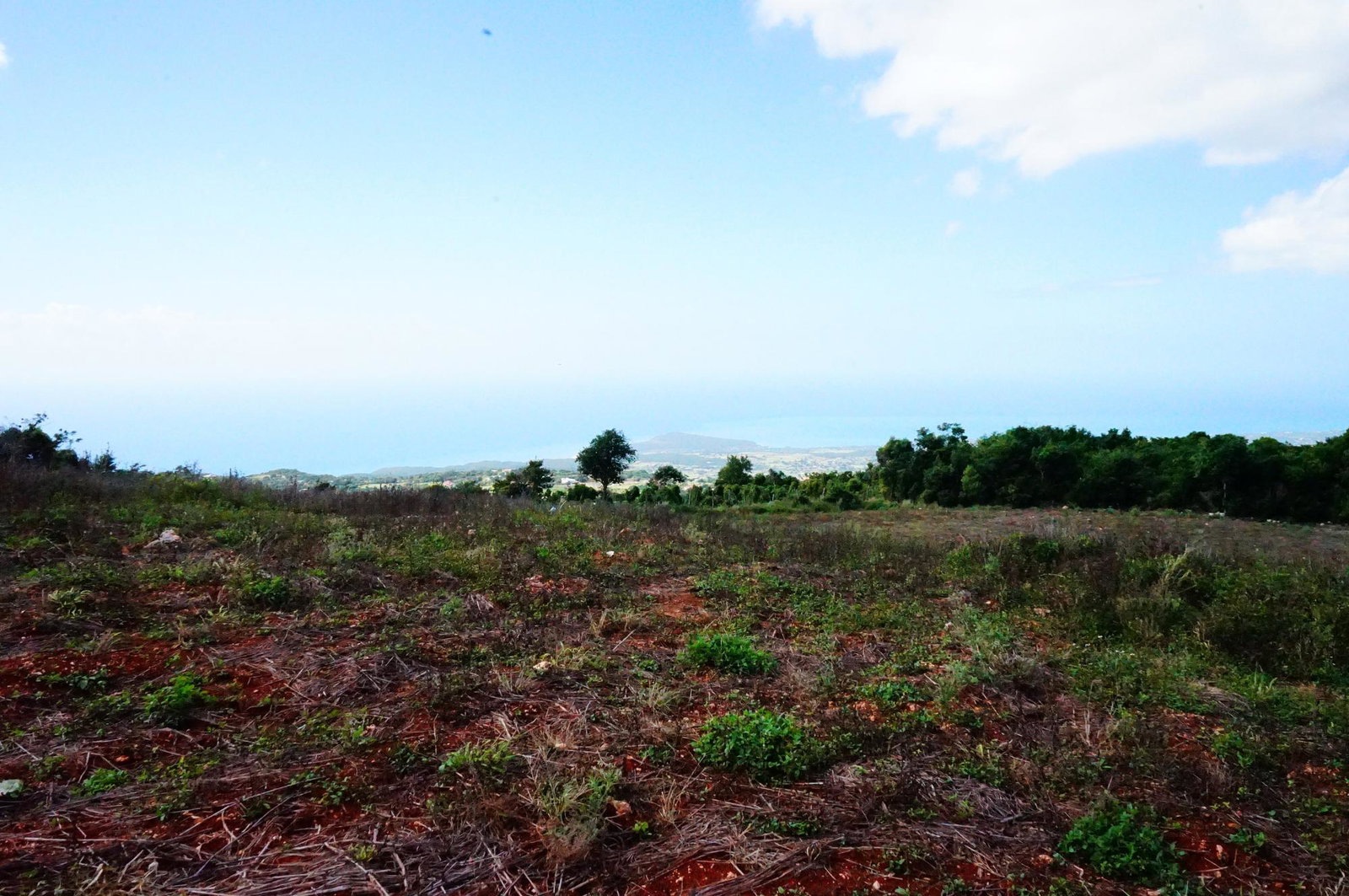 Tenth image of Norfolk, Southfield in Southfield, St. Elizabeth, Jamaica - property is For Sale
