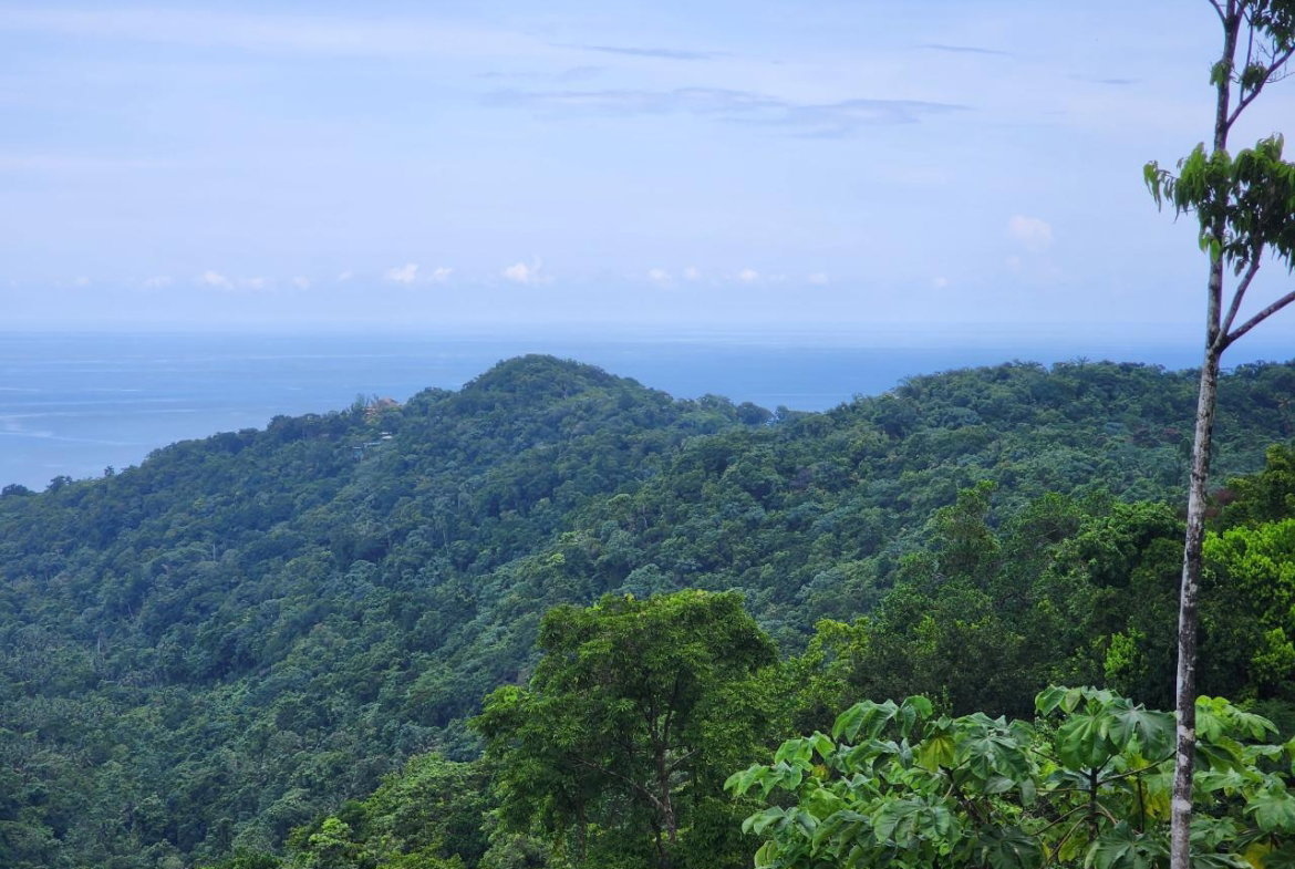 Second image of 138 Nonsuch Road in Nonsuch, Portland, Jamaica - property is For Sale