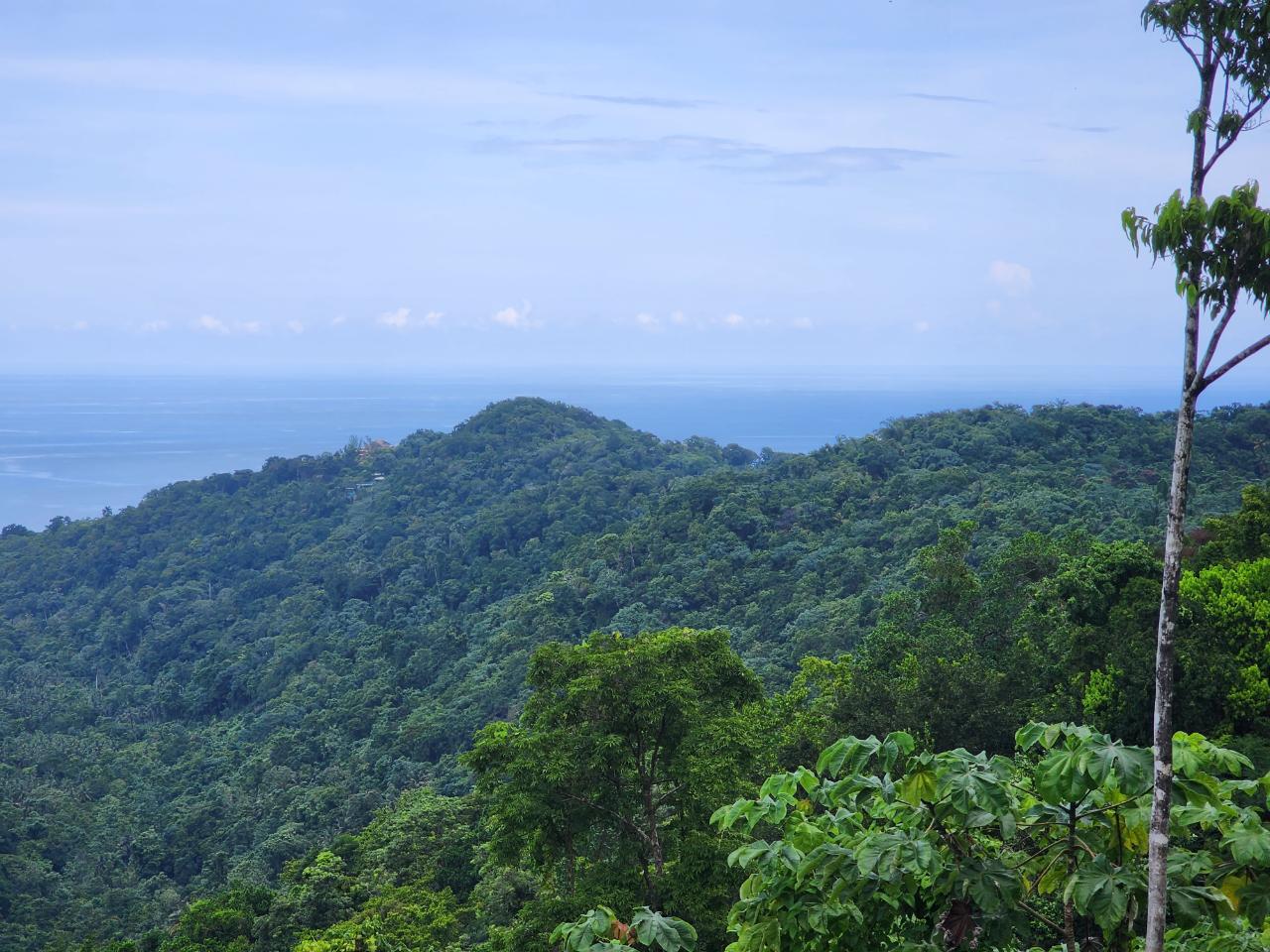Second image of 138 Nonsuch Road in Nonsuch, Portland, Jamaica - property is For Sale