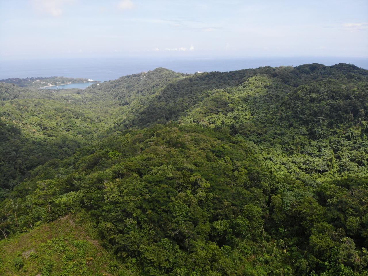 Eleventh image of 138 Nonsuch Road in Nonsuch, Portland, Jamaica - property is For Sale