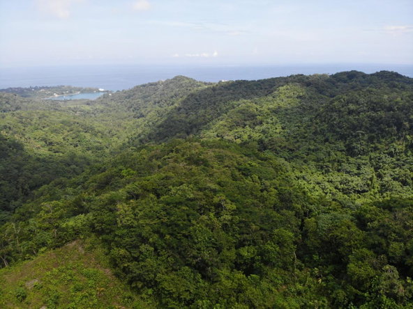 Eleventh image of 138 Nonsuch Road in Nonsuch, Portland, Jamaica - property is For Sale