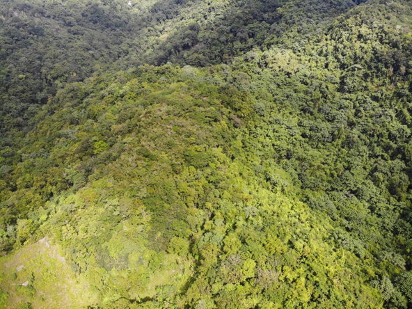 Thirteenth image of 138 Nonsuch Road in Nonsuch, Portland, Jamaica - property is For Sale
