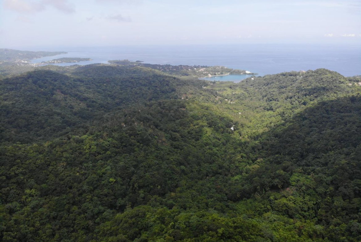 Fifteenth image of 138 Nonsuch Road in Nonsuch, Portland, Jamaica - property is For Sale