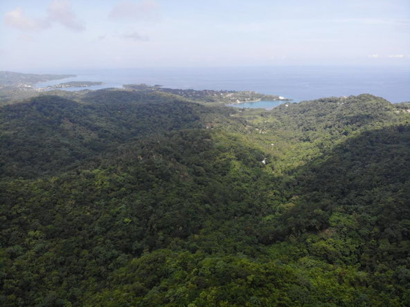 Fifteenth image of 138 Nonsuch Road in Nonsuch, Portland, Jamaica - property is For Sale