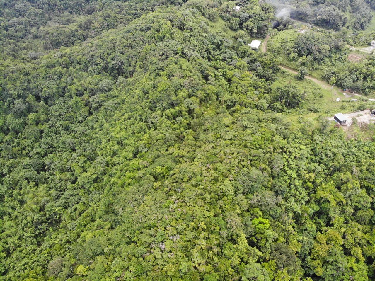 Seventeenth image of 138 Nonsuch Road in Nonsuch, Portland, Jamaica - property is For Sale