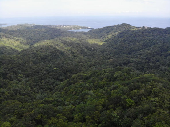 Nineteenth image of 138 Nonsuch Road in Nonsuch, Portland, Jamaica - property is For Sale