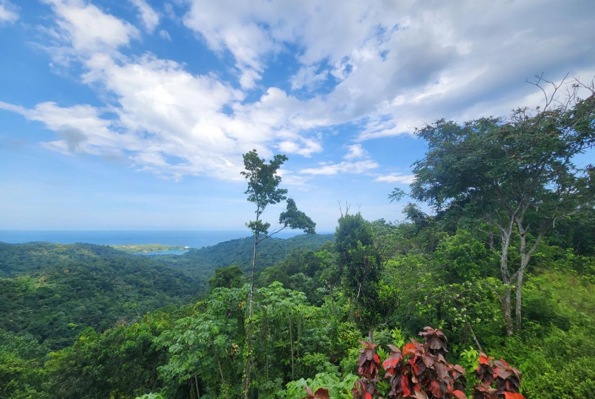 Third image of 138 Nonsuch Road in Nonsuch, Portland, Jamaica - property is For Sale