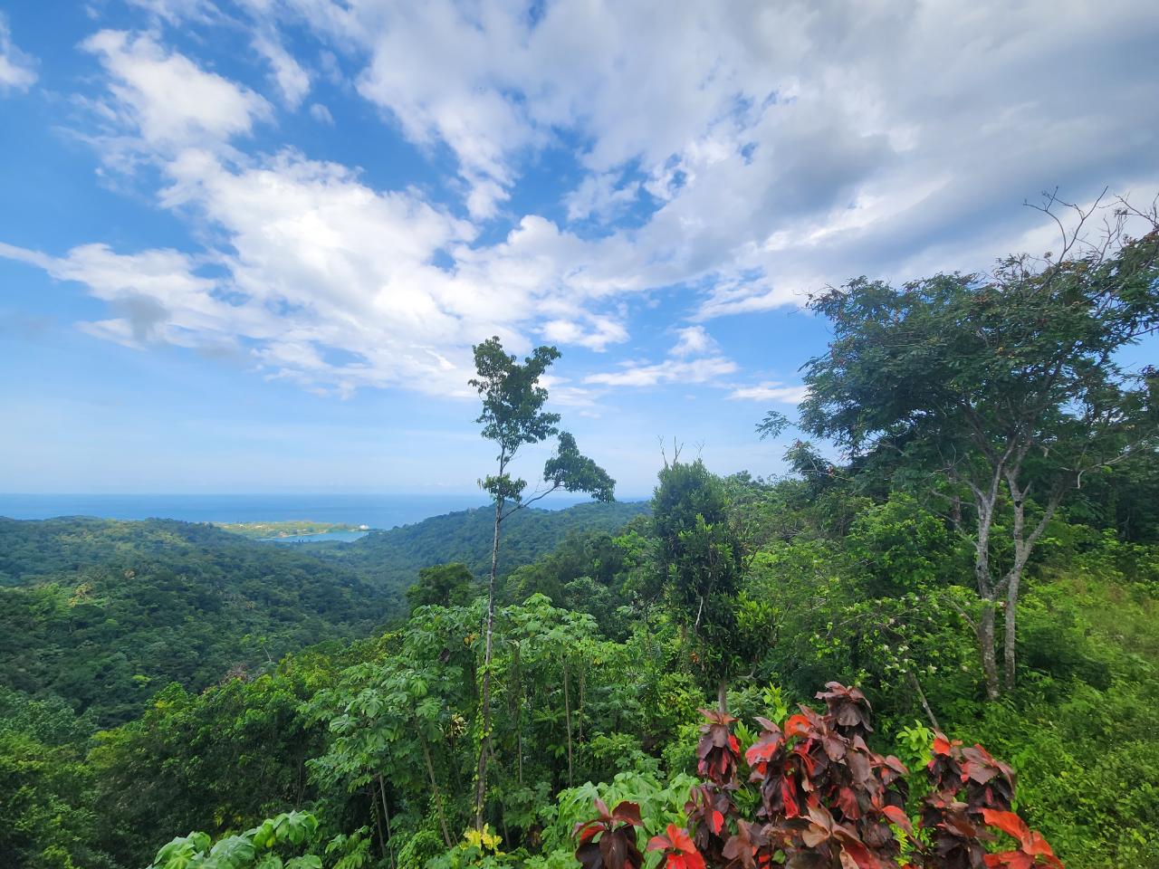 Third image of 138 Nonsuch Road in Nonsuch, Portland, Jamaica - property is For Sale