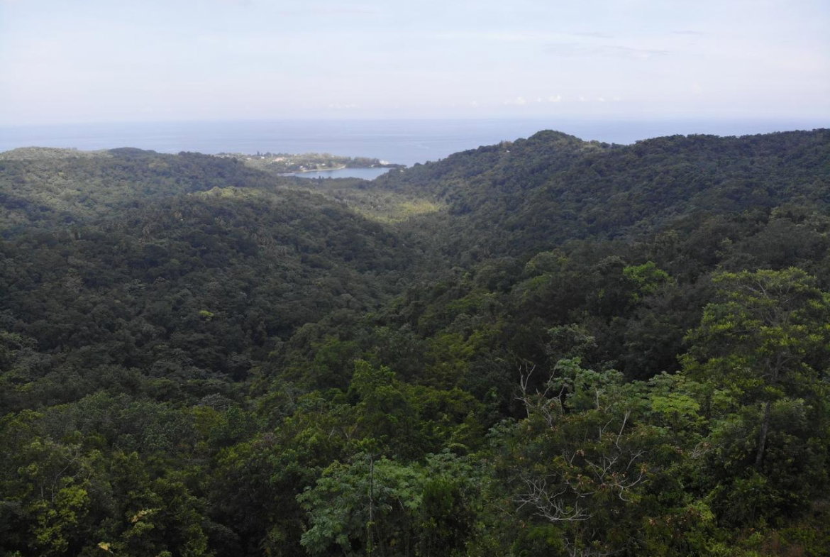 Twenty-Second image of 138 Nonsuch Road in Nonsuch, Portland, Jamaica - property is For Sale
