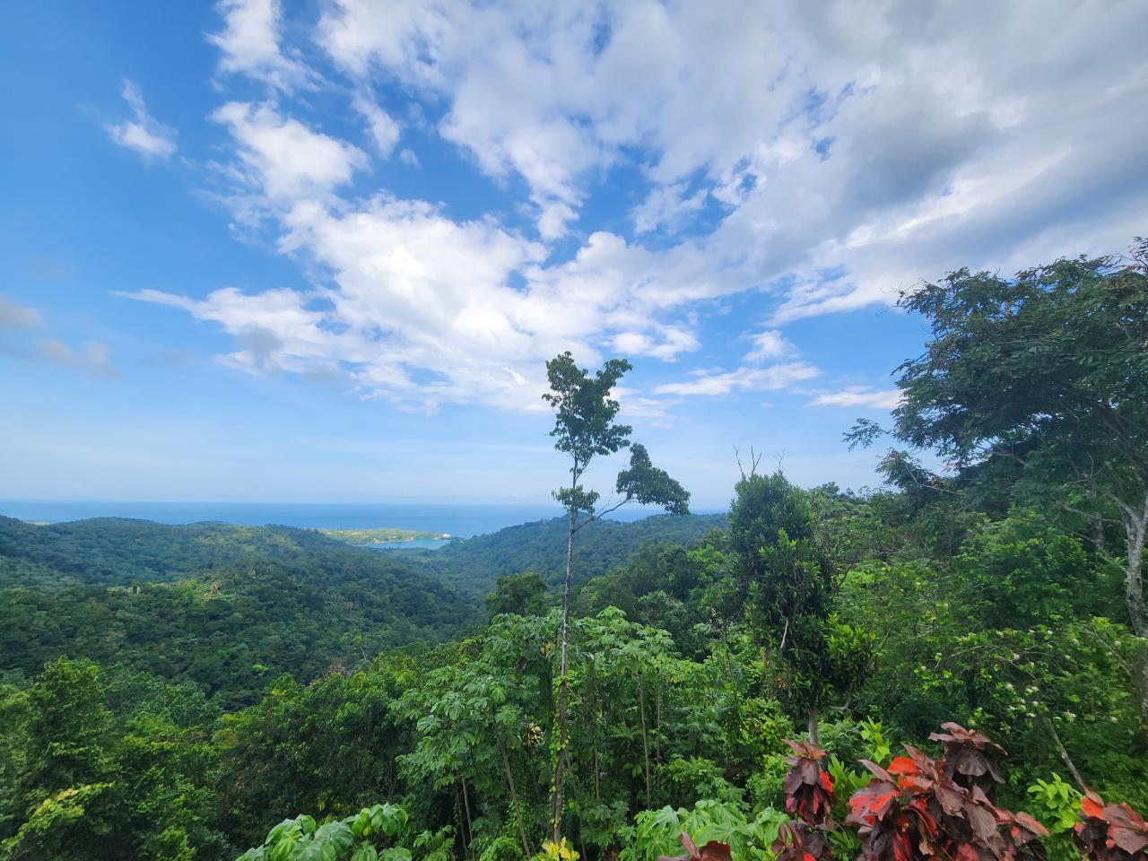 Fourth image of 138 Nonsuch Road in Nonsuch, Portland, Jamaica - property is For Sale