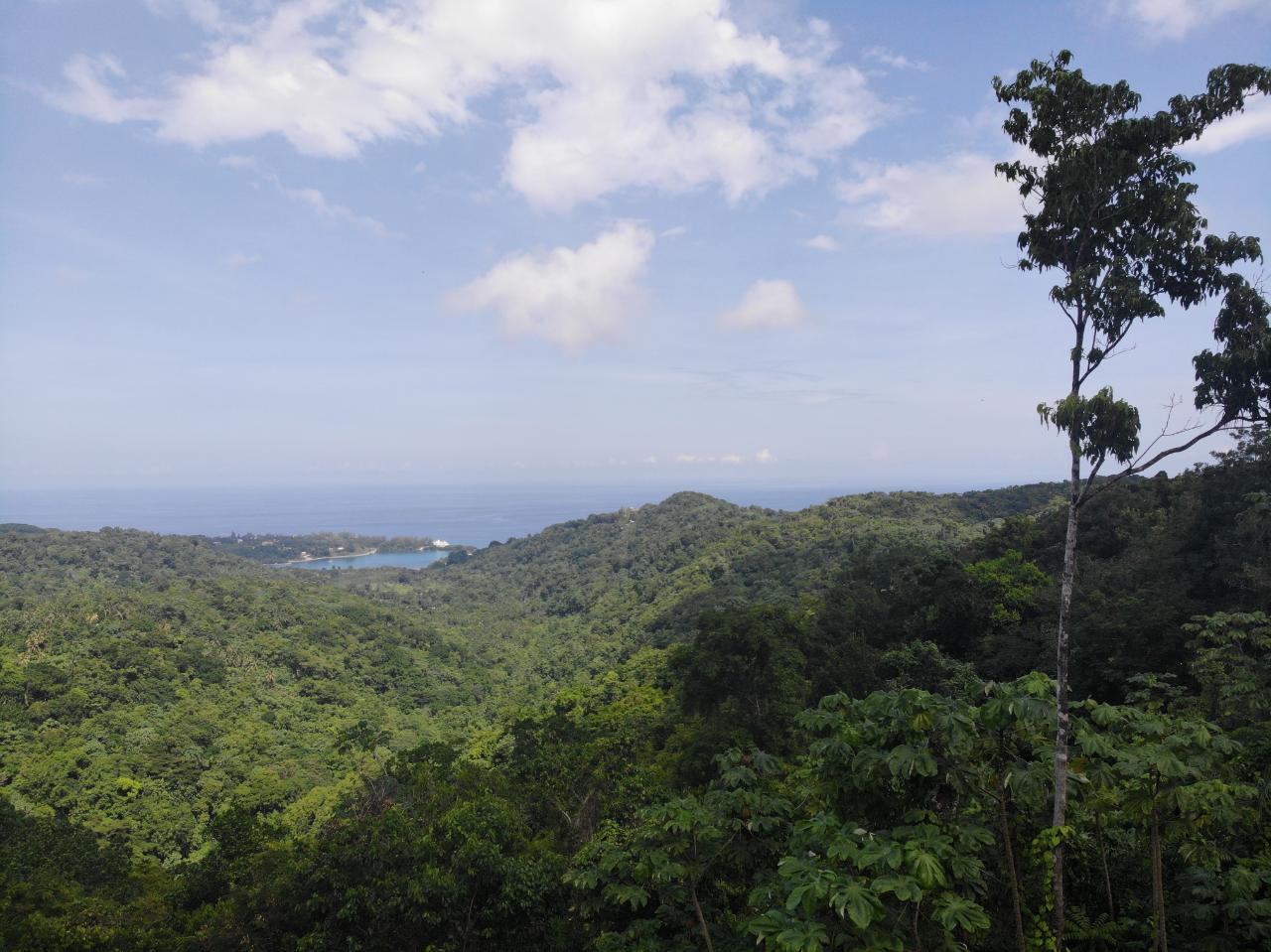 Fifth image of 138 Nonsuch Road in Nonsuch, Portland, Jamaica - property is For Sale