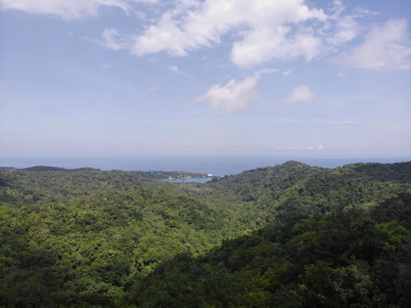 Sixth image of 138 Nonsuch Road in Nonsuch, Portland, Jamaica - property is For Sale
