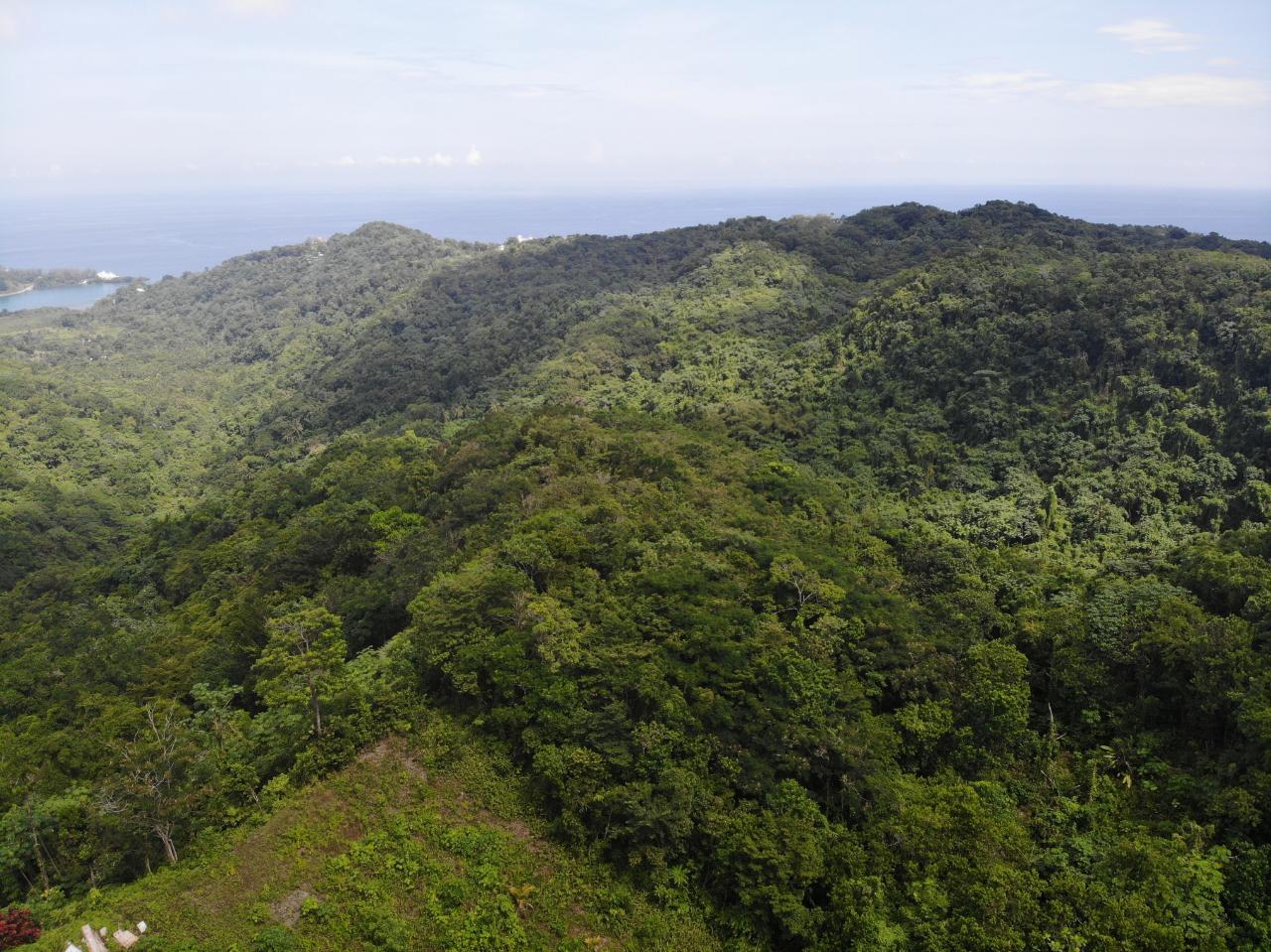 Tenth image of 138 Nonsuch Road in Nonsuch, Portland, Jamaica - property is For Sale