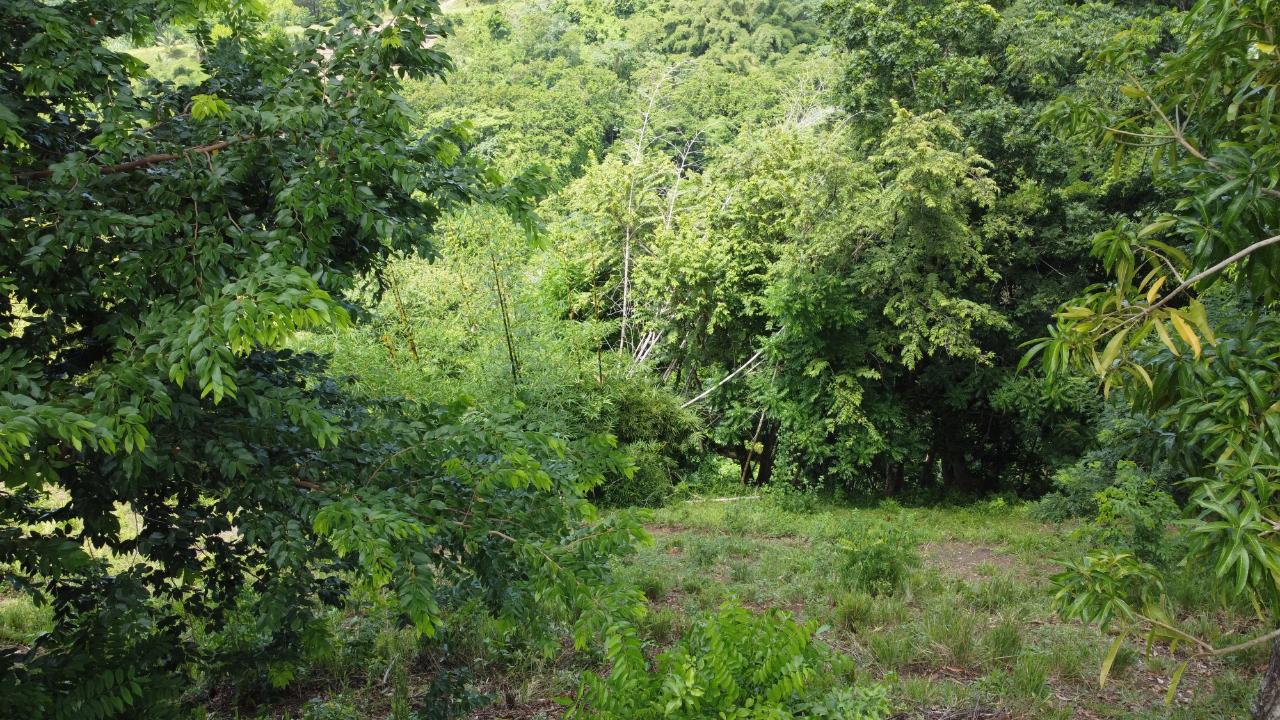 Second image of 37 Borrowfield in Whitehall, St. Thomas, Jamaica - property is For Sale