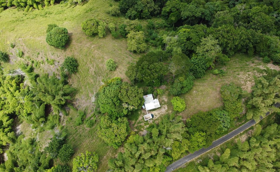 Third image of 37 Borrowfield in Whitehall, St. Thomas, Jamaica - property is For Sale