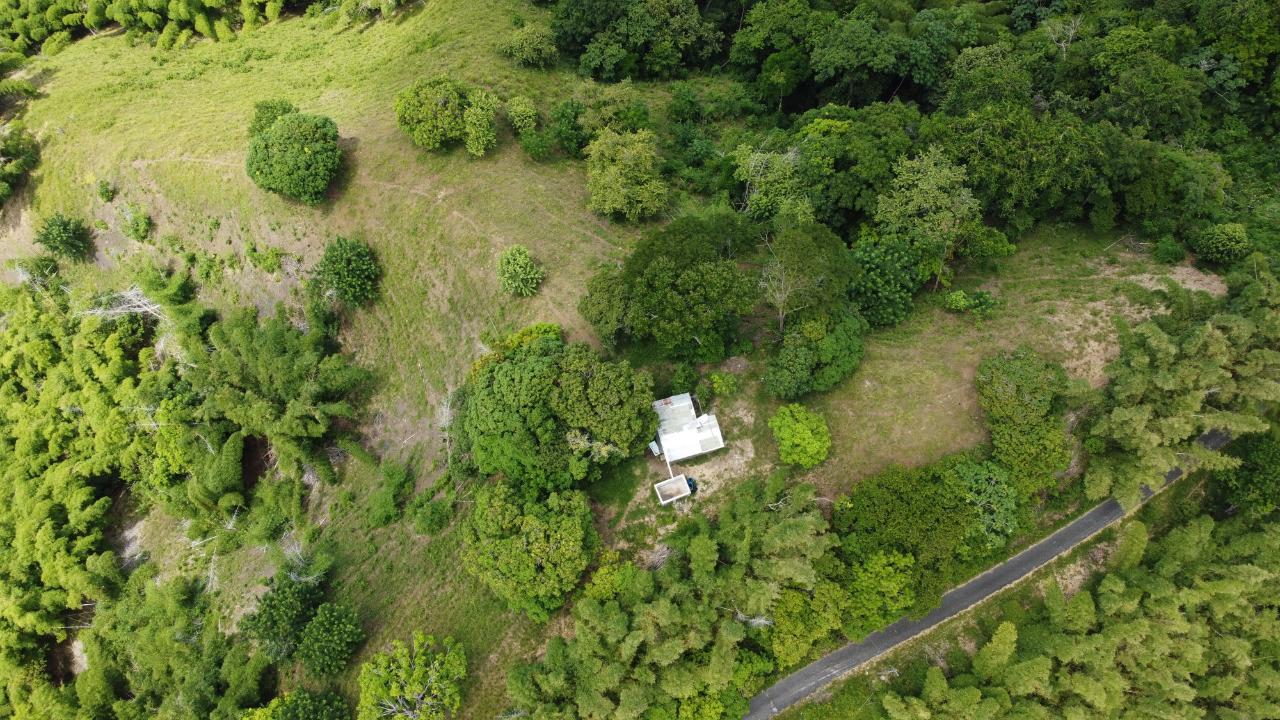 Third image of 37 Borrowfield in Whitehall, St. Thomas, Jamaica - property is For Sale