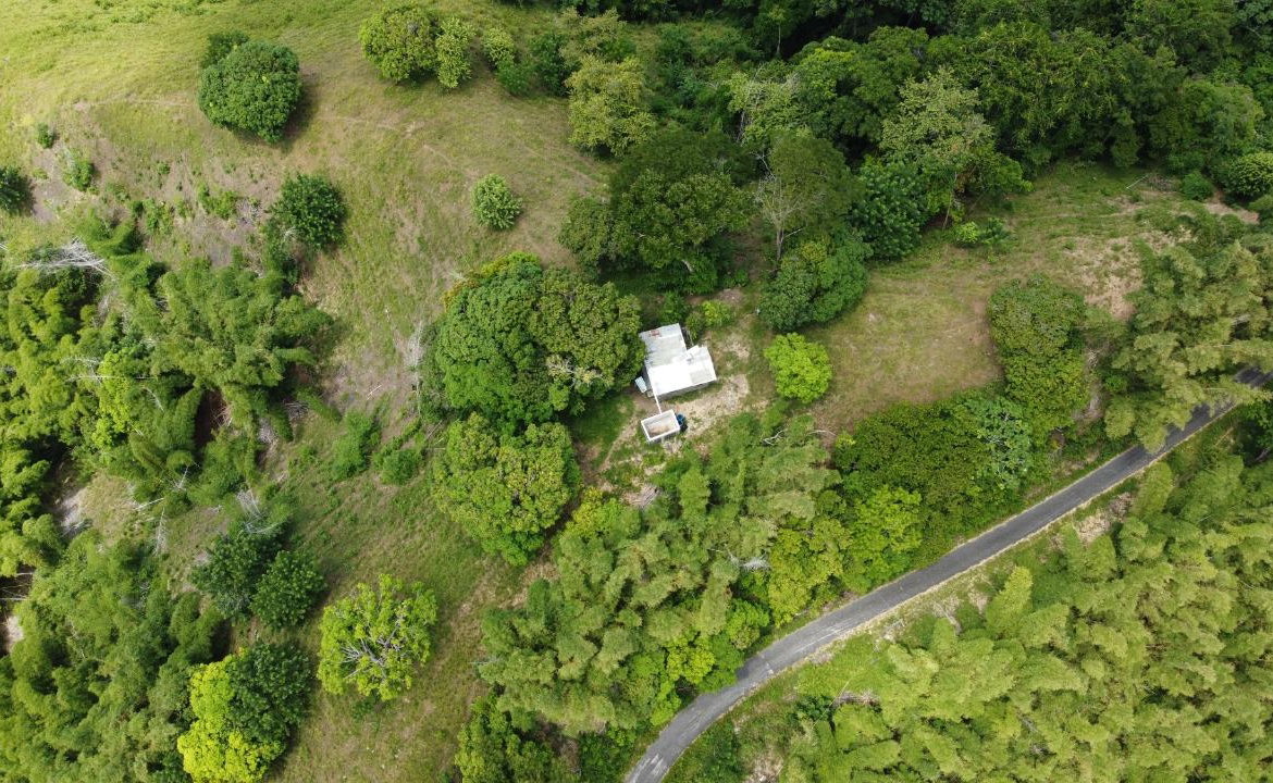Fourth image of 37 Borrowfield in Whitehall, St. Thomas, Jamaica - property is For Sale