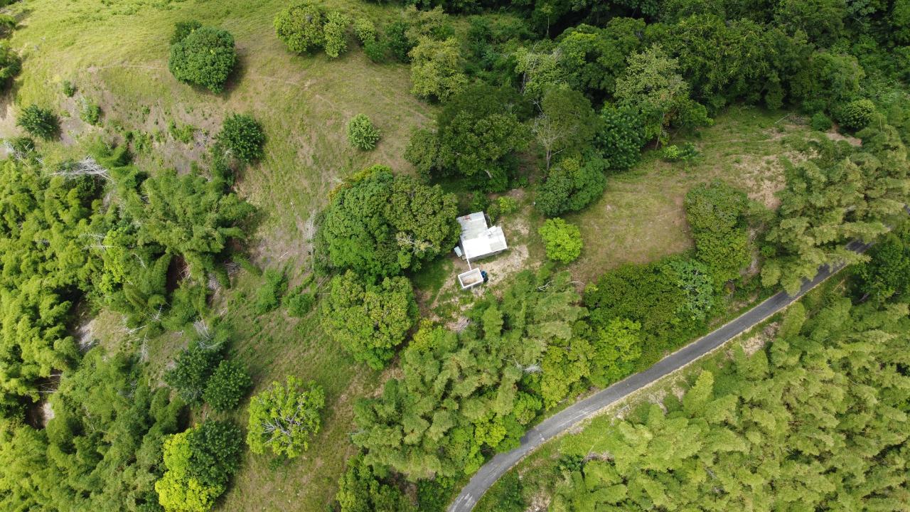 Fourth image of 37 Borrowfield in Whitehall, St. Thomas, Jamaica - property is For Sale