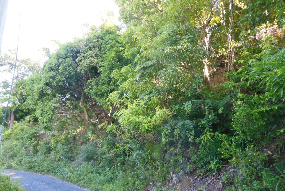 Fifth image of 37 Borrowfield in Whitehall, St. Thomas, Jamaica - property is For Sale