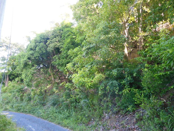 Fifth image of 37 Borrowfield in Whitehall, St. Thomas, Jamaica - property is For Sale