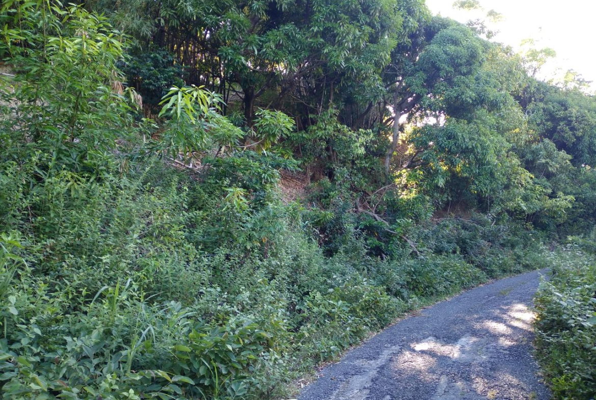 Seventh image of 37 Borrowfield in Whitehall, St. Thomas, Jamaica - property is For Sale
