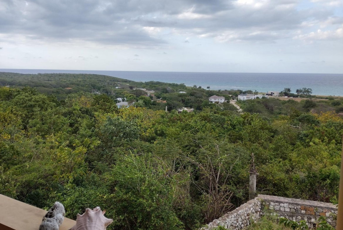 Twenty-Fifth image of Lot-279 Look Over Hill in Duncans, Trelawny, Jamaica - property is For Sale