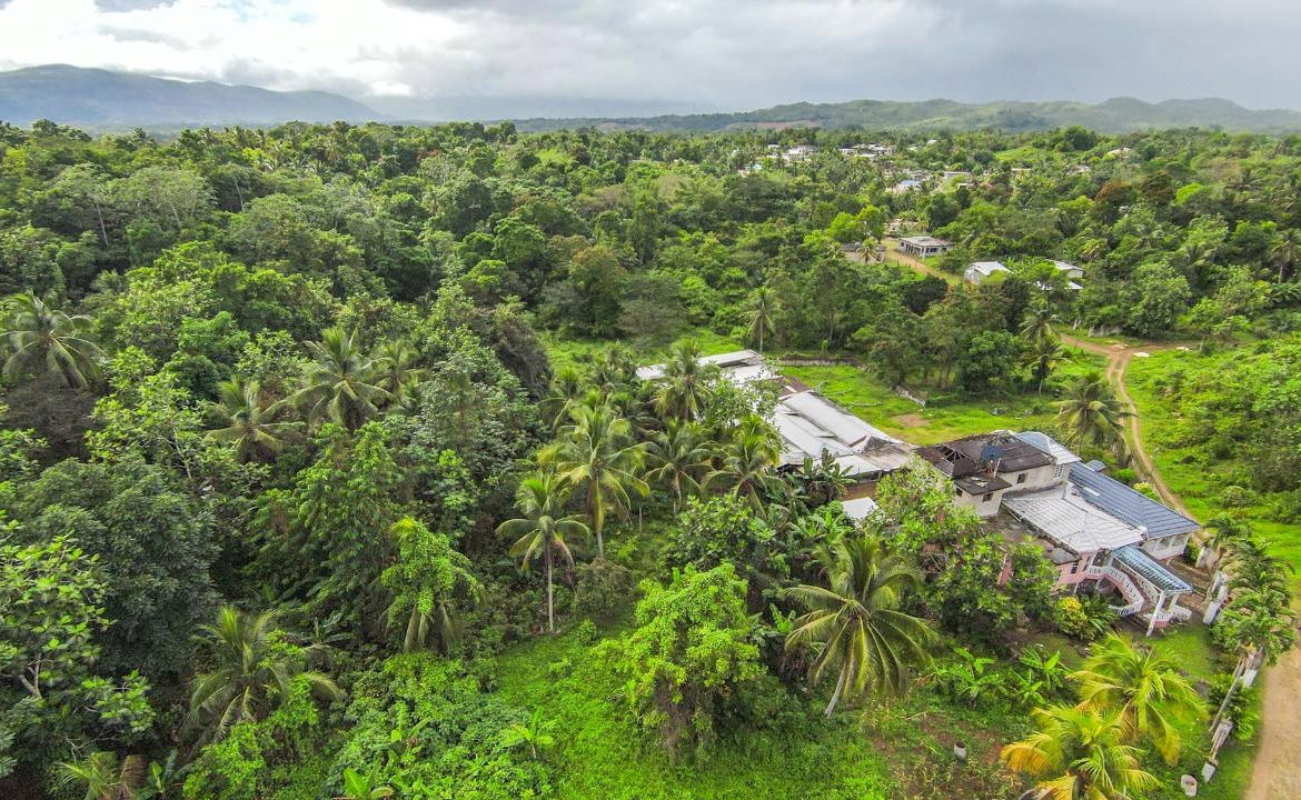 Fourteenth image of Cashew Walk, West Prospec in Bog Walk, St. Catherine, Jamaica - property is For Sale