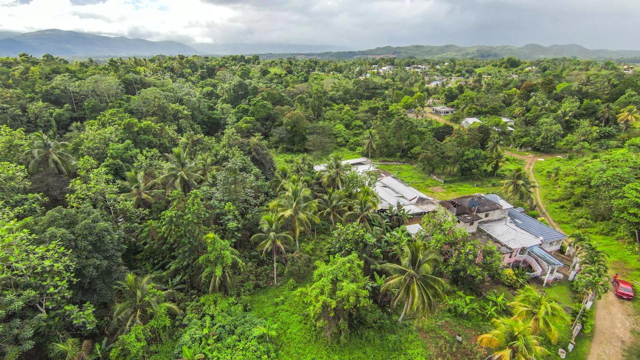 Fourteenth image of Cashew Walk, West Prospec in Bog Walk, St. Catherine, Jamaica - property is For Sale