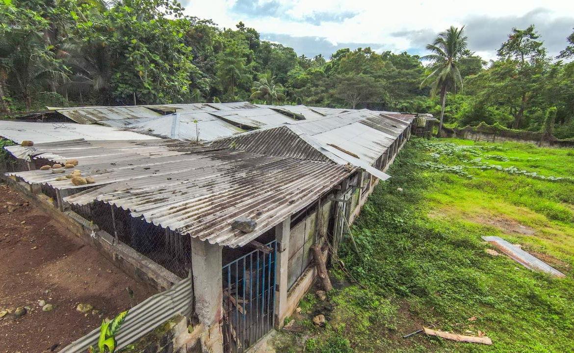 Seventeenth image of Cashew Walk, West Prospec in Bog Walk, St. Catherine, Jamaica - property is For Sale