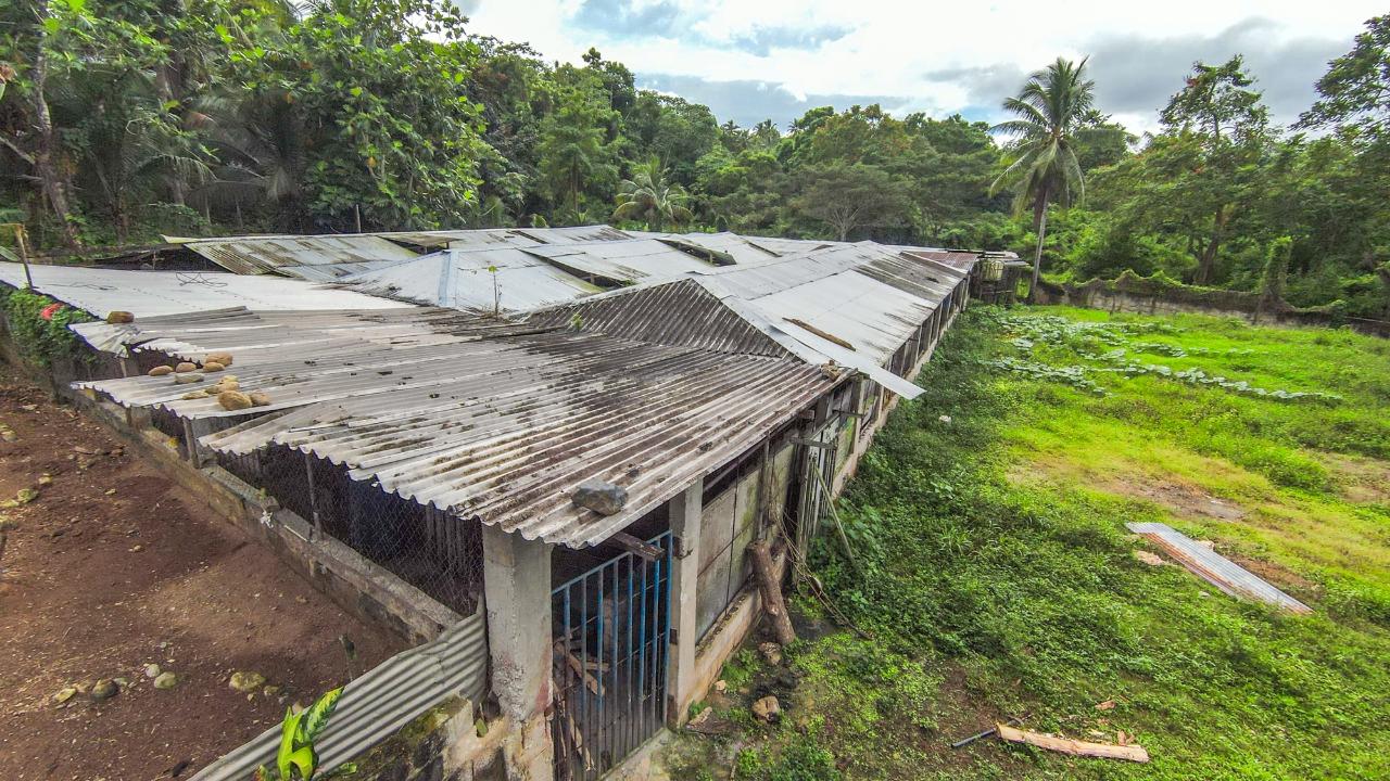 Seventeenth image of Cashew Walk, West Prospec in Bog Walk, St. Catherine, Jamaica - property is For Sale