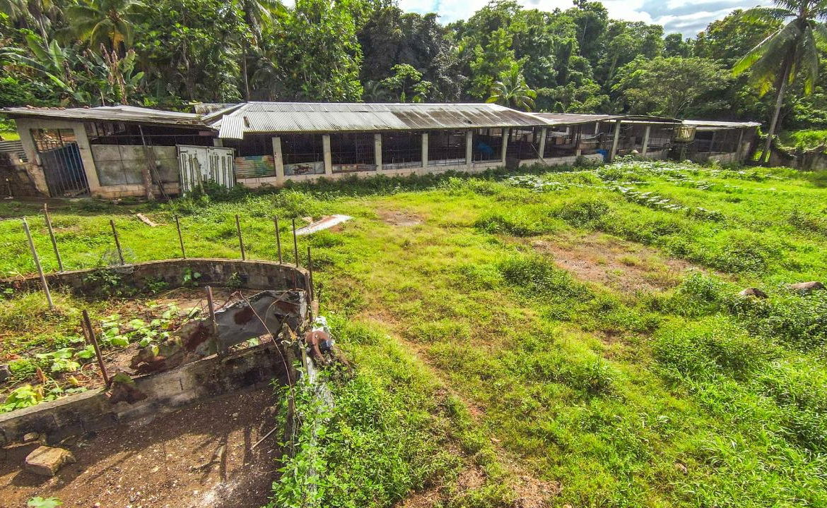 Nineteenth image of Cashew Walk, West Prospec in Bog Walk, St. Catherine, Jamaica - property is For Sale