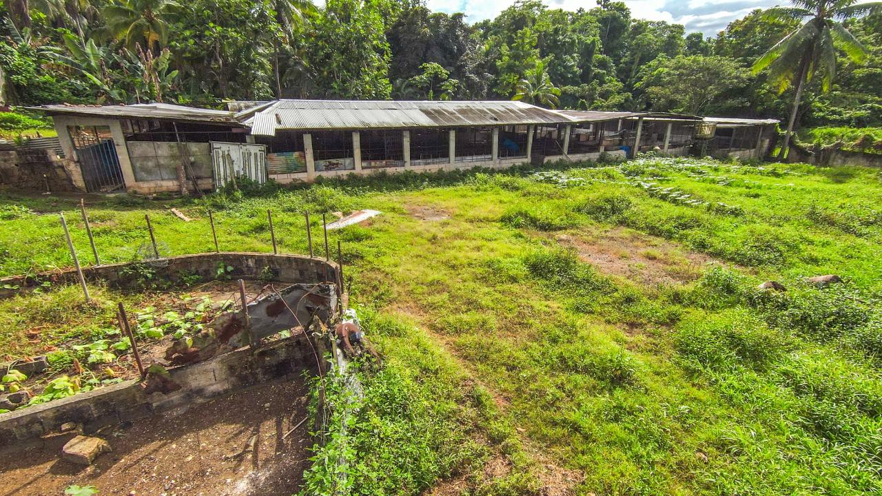 Nineteenth image of Cashew Walk, West Prospec in Bog Walk, St. Catherine, Jamaica - property is For Sale