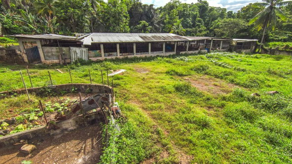 Nineteenth image of Cashew Walk, West Prospec in Bog Walk, St. Catherine, Jamaica - property is For Sale