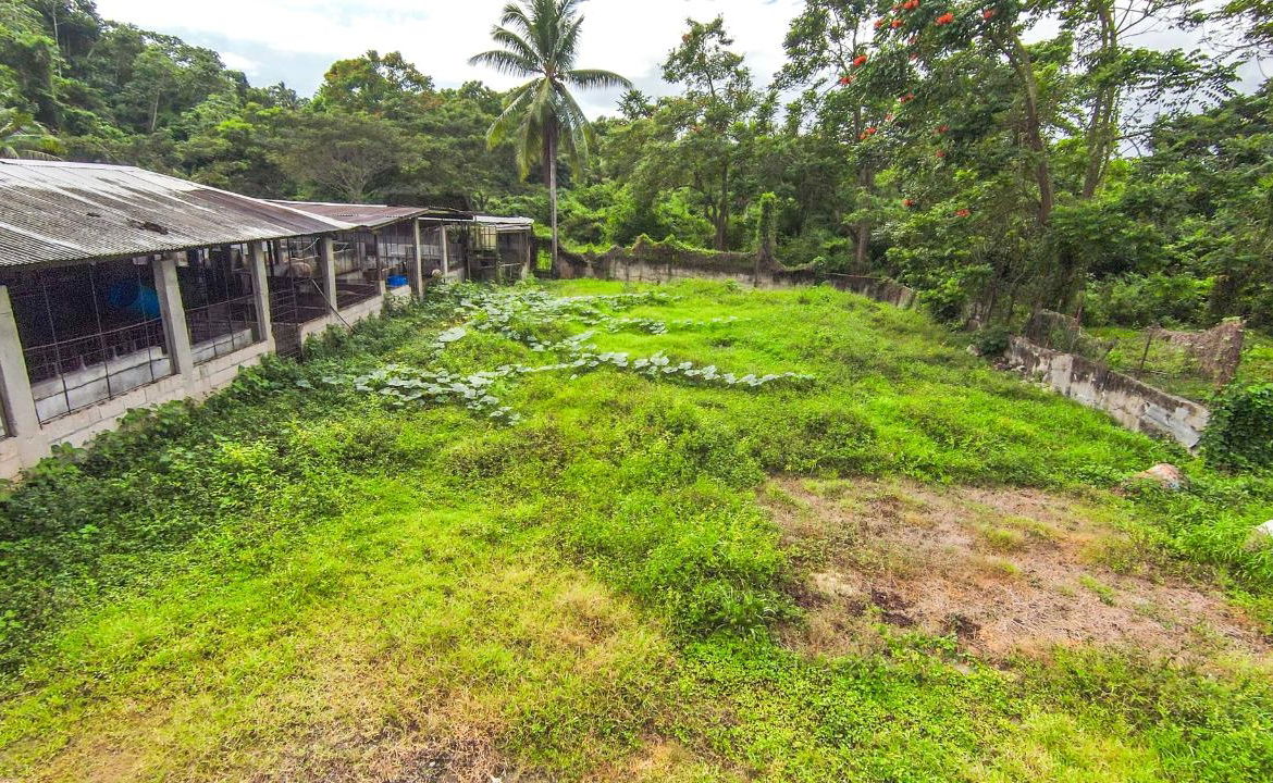 Twentieth image of Cashew Walk, West Prospec in Bog Walk, St. Catherine, Jamaica - property is For Sale
