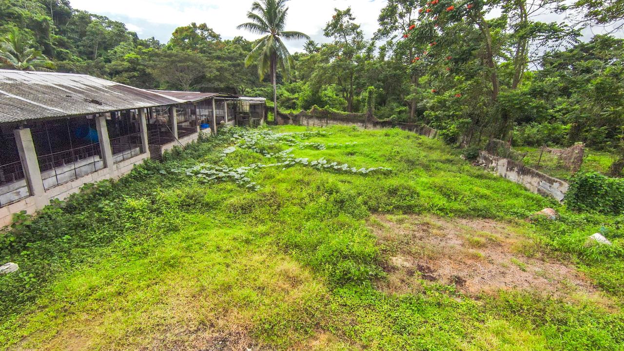 Twentieth image of Cashew Walk, West Prospec in Bog Walk, St. Catherine, Jamaica - property is For Sale