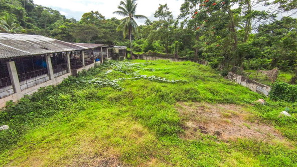Twentieth image of Cashew Walk, West Prospec in Bog Walk, St. Catherine, Jamaica - property is For Sale