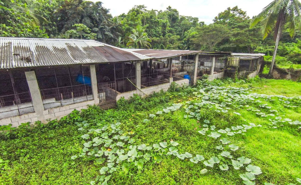 Twenty-First image of Cashew Walk, West Prospec in Bog Walk, St. Catherine, Jamaica - property is For Sale